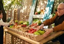 Cambiamenti climatici, lo studio che mostra come si stanno impoverendo i nostri cibi CAMBIAMENTI CLIMATICI