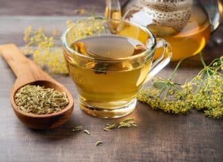 Finocchio sotto osservazione: allarme Ue per l’estragolo nelle tisane FINOCCHIO