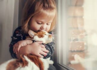 Avere un animale fa bene al bambino? Dipende dal tipo di animale e dalla durata del legame ANIMALI FANNO BENE AI BAMBINI