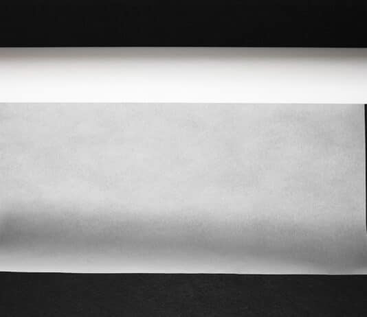 Pfas nelle carte da forno. Il nostro test su 16 marchi carte da forno