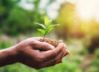 Il “giusto prezzo” del bio: NaturaSì riconosce ai produttori un extra per aria, acqua e suolo puliti bio