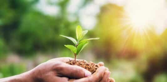 Il “giusto prezzo” del bio: NaturaSì riconosce ai produttori un extra per aria, acqua e suolo puliti bio