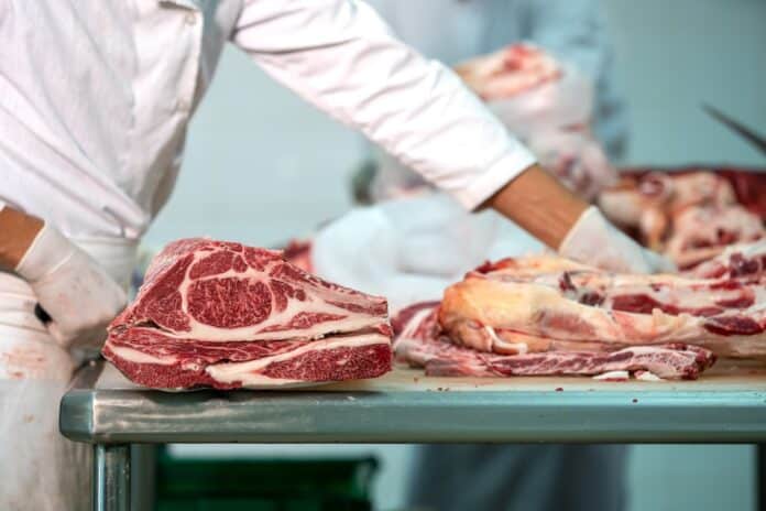 Butcher cutting wagyu beef in the slaughterhouse and team carne