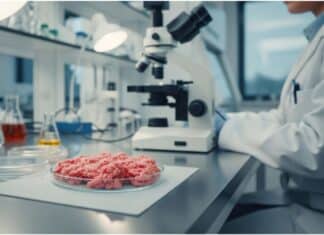 Batteri resistenti agli antibiotici negli alimenti: l’allerta delle authority europee BATTERI RESISTENTI ANTIBIOTICI ALIMENTI