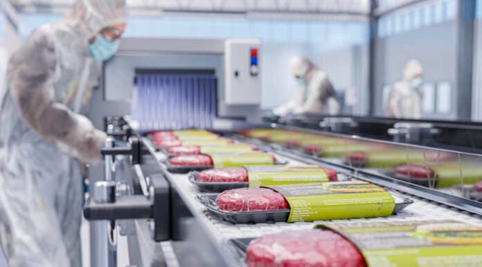 Test su 12 hamburger: le sostanze aggiunte? Per dargli consistenza e proteine HAMBURGER INGREDIENTI