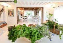 Rigenerarsi: il viaggio verso la longevità in salute che unisce occidente e oriente nel cuore della maremma