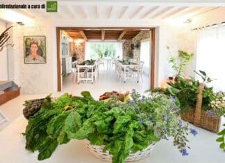 Rigenerarsi: il viaggio verso la longevità in salute che unisce occidente e oriente nel cuore della maremma