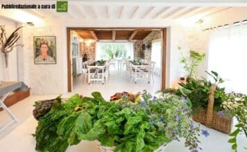 Rigenerarsi: il viaggio verso la longevità in salute che unisce occidente e oriente nel cuore della maremma