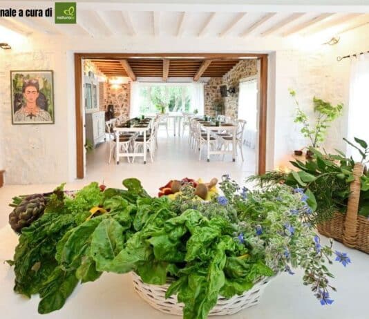 Rigenerarsi: il viaggio verso la longevità in salute che unisce occidente e oriente nel cuore della maremma