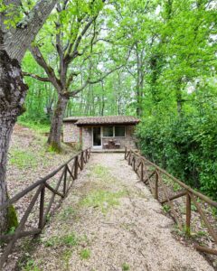 Rigenerarsi: il viaggio verso la longevità in salute che unisce occidente e oriente nel cuore della maremma