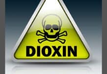 Carne e fegato sotto esame: nei bovini italiani più Pcb rispetto al Regno Unito PCB