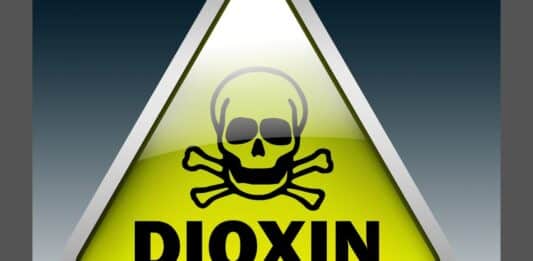 Carne e fegato sotto esame: nei bovini italiani più Pcb rispetto al Regno Unito PCB