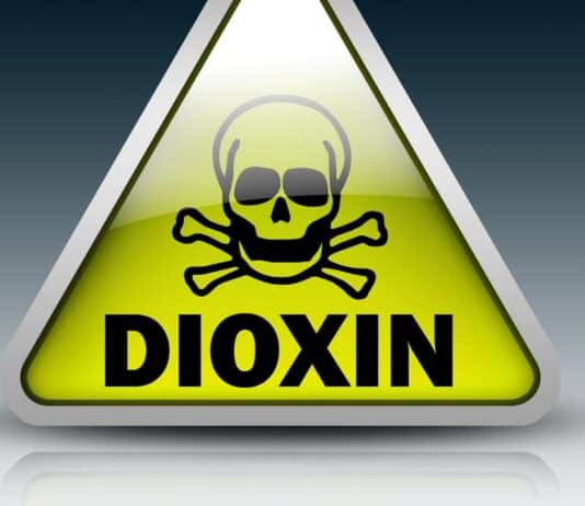 Carne e fegato sotto esame: nei bovini italiani più Pcb rispetto al Regno Unito PCB