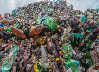 Francia, Nestlé Waters a processo per discariche abusive di bottiglie bottiglie nestlé