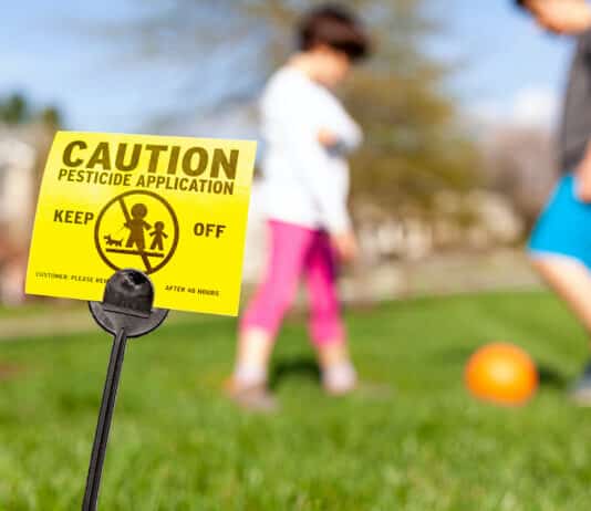 Pesticidi senza scadenza, i rischi veri del pacchetto Omnibus europeo Flupyradifurone BAMBINI
