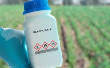 GLIFOSATO
