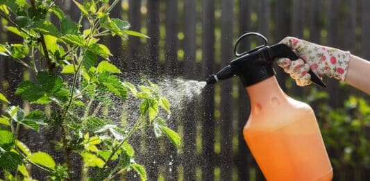 “Biocontrollo”, cosa c’è dietro la strana alleanza tra Federbio e Agrofarma biocontrollo