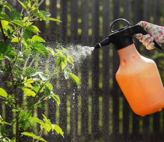 “Biocontrollo”, cosa c’è dietro la strana alleanza tra Federbio e Agrofarma biocontrollo