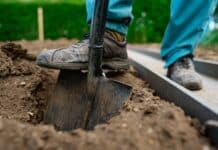 CADMIO NEGLI ALIMENTI