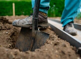 Cadmio negli alimenti, il caso Francia divide: il bio è davvero “come il convenzionale”? CADMIO NEGLI ALIMENTI
