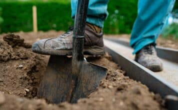 CADMIO NEGLI ALIMENTI