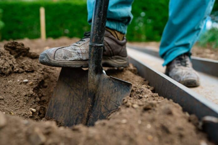 Male foot wearing a rubber boot digging an earth in the garden with an old spade close up. Soil preparing for planting in spring. Agriculture and people concept CADMIO NEGLI ALIMENTI