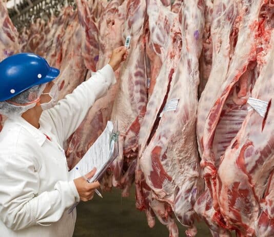 Lo studio su carne e greenwashing: solo il 2% delle promesse è verificabile carne