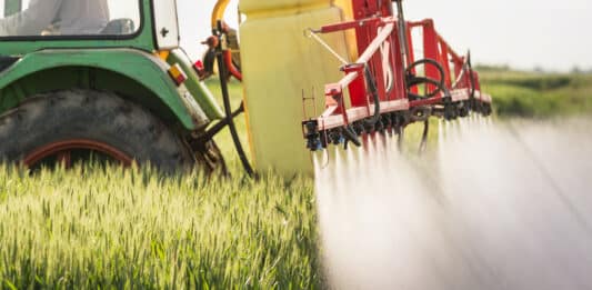 Pesticidi-Pfas, Pan-Europe: “La Ue vieti il Diflufenican” PESTICIDI PFAS