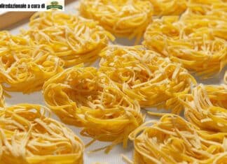 Perché alcune paste tengono meglio la cottura di altre