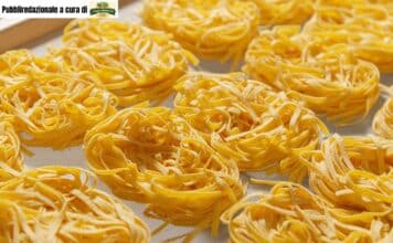 Perché alcune paste tengono meglio la cottura di altre