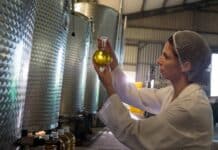 Test sugli extravergine: contaminanti nei marchi più diffusi EXTRAVERGINE OLIO