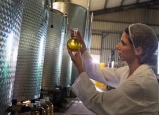 Test sugli extravergine: contaminanti nei marchi più diffusi EXTRAVERGINE OLIO