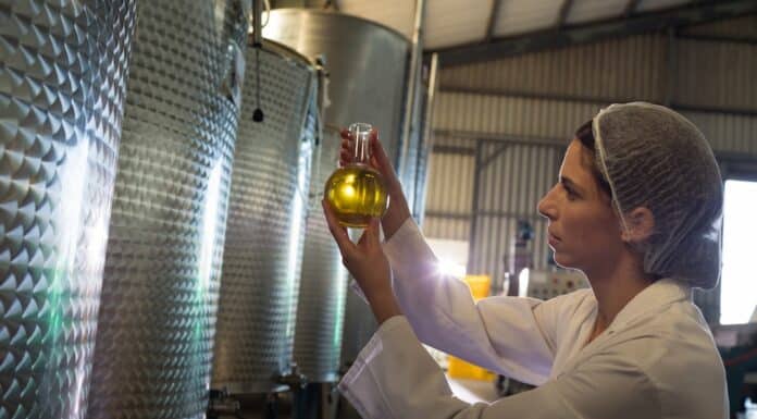 EXTRAVERGINE OLIO