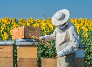 Omnibus alimenti e mangimi: la proposta Ue che rischia di indebolire le regole sui pesticidi OMNIBUS ALIMENTI E MANGIMI