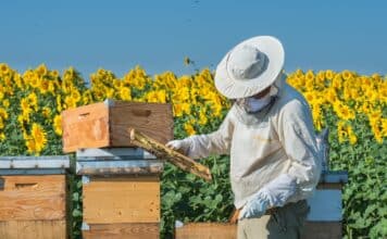 OMNIBUS ALIMENTI E MANGIMI