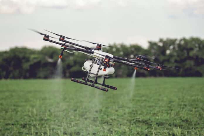 Agriculture drone fly to sprayed fertilizer on the rice fields. droni drone