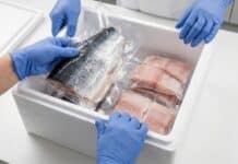 Pesce fresco: le 4 frodi più frequenti