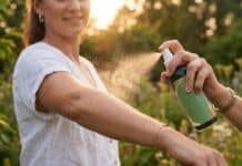 Lo studio: così il repellente più comune può attirare le zanzare zanzare