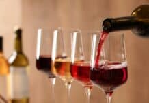 Veneto, Pfas in 75 campioni su 76 di vino prodotto nell’aria contaminata vino pfas