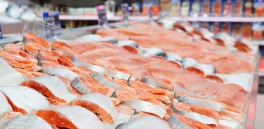Pesce gonfiato con acqua, l’Europa accende i fari sulle frodi pesce acqua