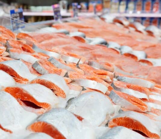 Pesce gonfiato con acqua, l’Europa accende i fari sulle frodi pesce acqua