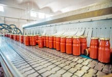 Passata di pomodoro: la data di produzione? È cifrata nel lotto PASSATA DI POMODORO LOTTO