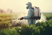 Lo studio europeo: così il pacchetto omnibus allenterebbe la protezione dai pesticidi pesticidi omnibus