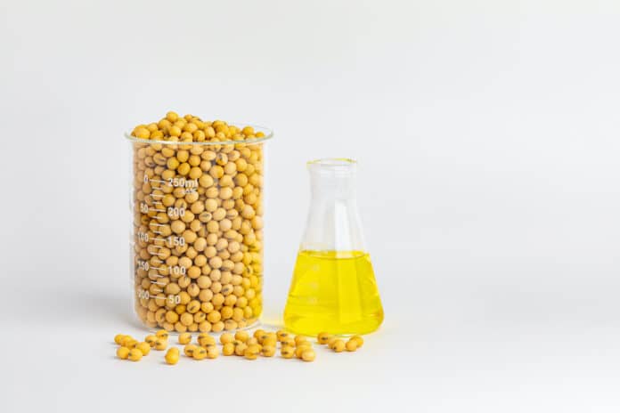 SOIA OGM Soybeans with laboratory beaker. Genetically modified crops, soy oil, and biodiesel concept.