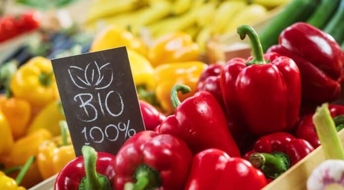 Il biologico? La gallina dalle uova d’oro per i supermercati francesi