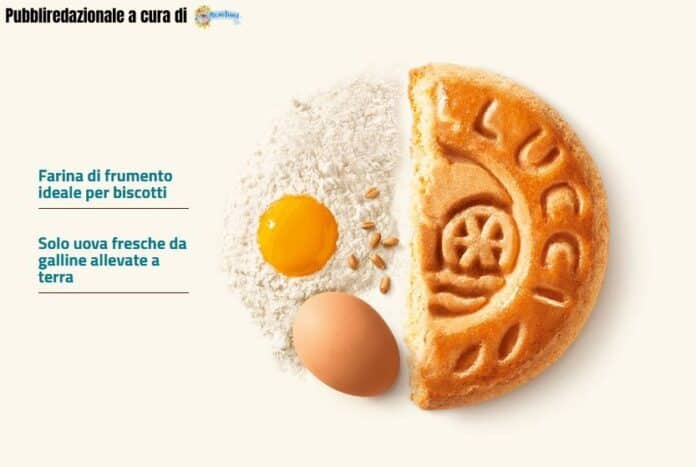 Pubbliredazionale a cura di (93)
