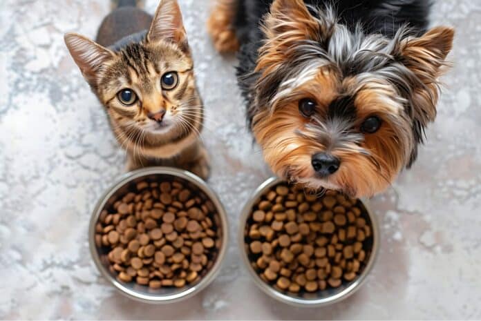 Untitled design(12) MICROPLASTICHE PETFOOD