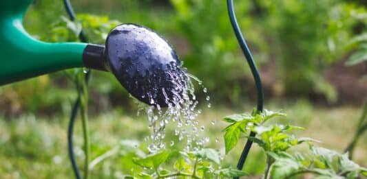 Pfas negli alimenti, la Rete zero Pfas alla Regione Veneto: “Rendete pubblici i dati dei monitoraggi” pfas