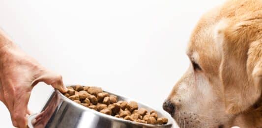 Pet food, in un controllo su cinque trovate irregolarità: i Nas sequestrano 60 tonnellate di alimenti CANI NAS PET FOOD