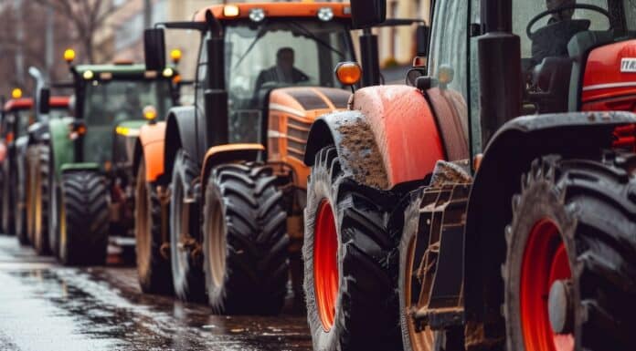 Come la lobby agricola europea (con Coldiretti) ha smontato la riforma verde dell’Ue coldiretti